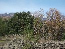 ntrada Ilice-Contrada Ilice 2009 11 15 032